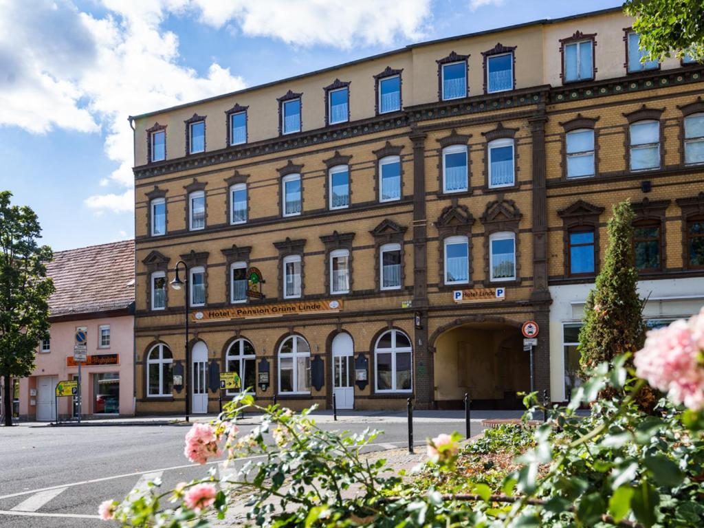 Hotel-Pension Gruene Linde デーリッチュ エクステリア 写真