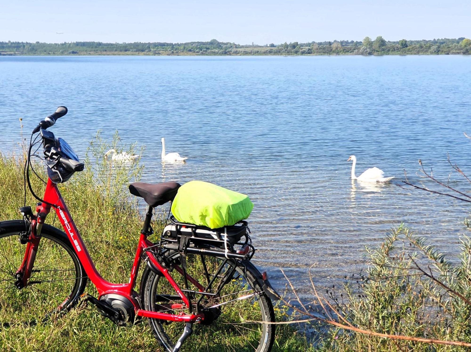Hotel-Pension Gruene Linde デーリッチュ エクステリア 写真